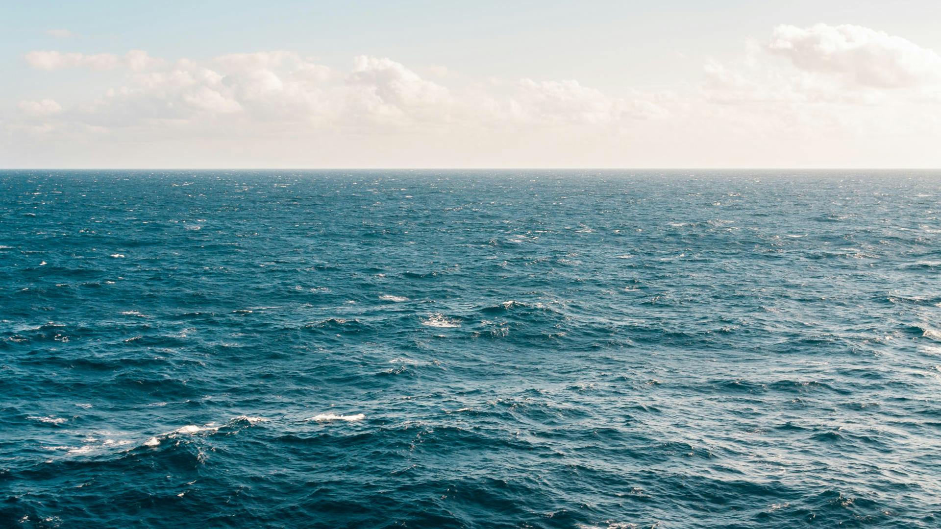 Increíble rescate tras 23 horas en el mar